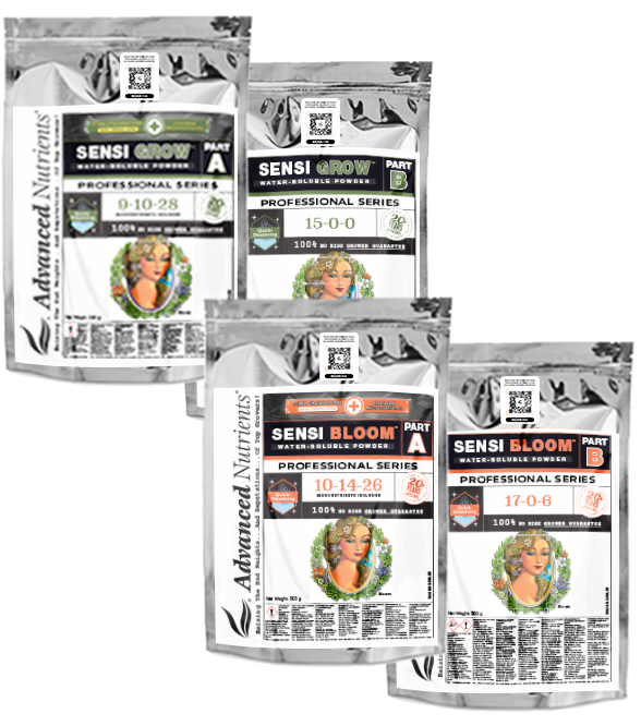 WSP Sensi Grow B Pro 1kg