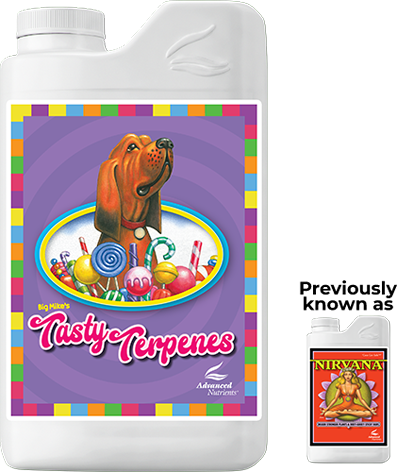 Tasty Terpenes 10L