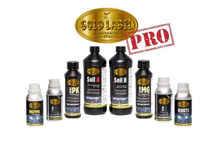 Gold Label Large Pro Kit